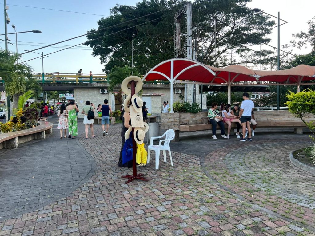 Sombrero Montecristi; orgullo de Pile Sombrero Montecristi; orgullo de Pile