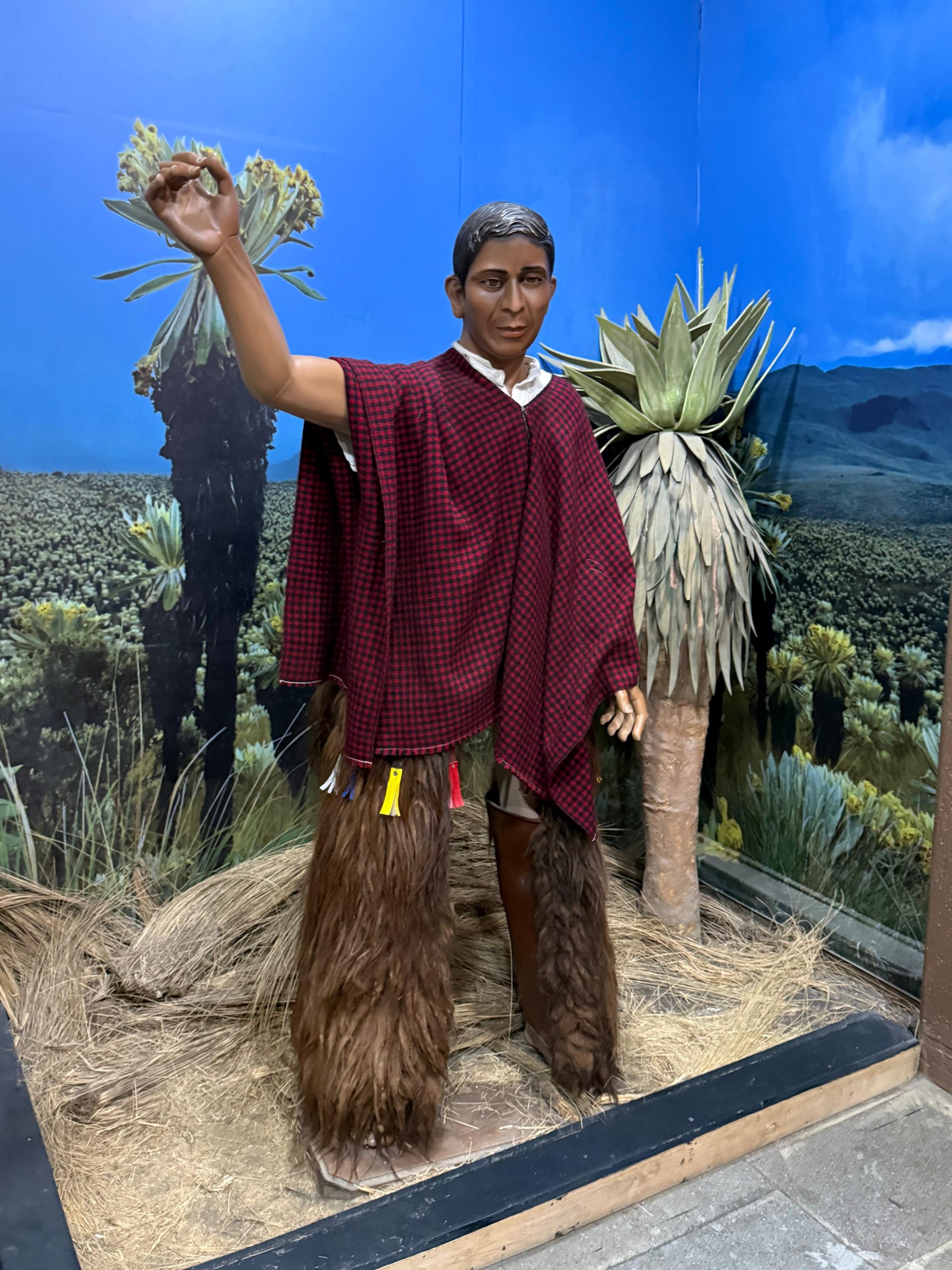 Vínculo ancestral con el Universo Vínculo ancestral con el Universo