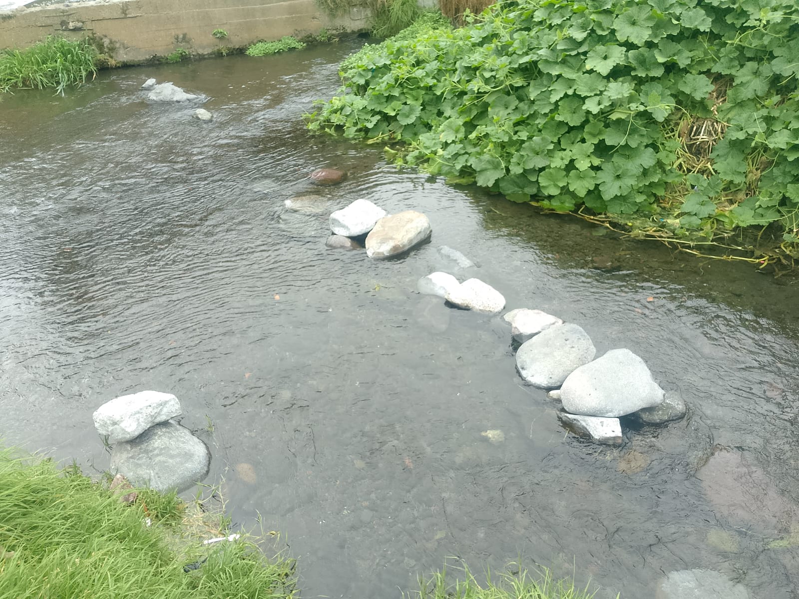 Vertientes, fuente de vida y cultura Vertientes, fuente de vida y cultura