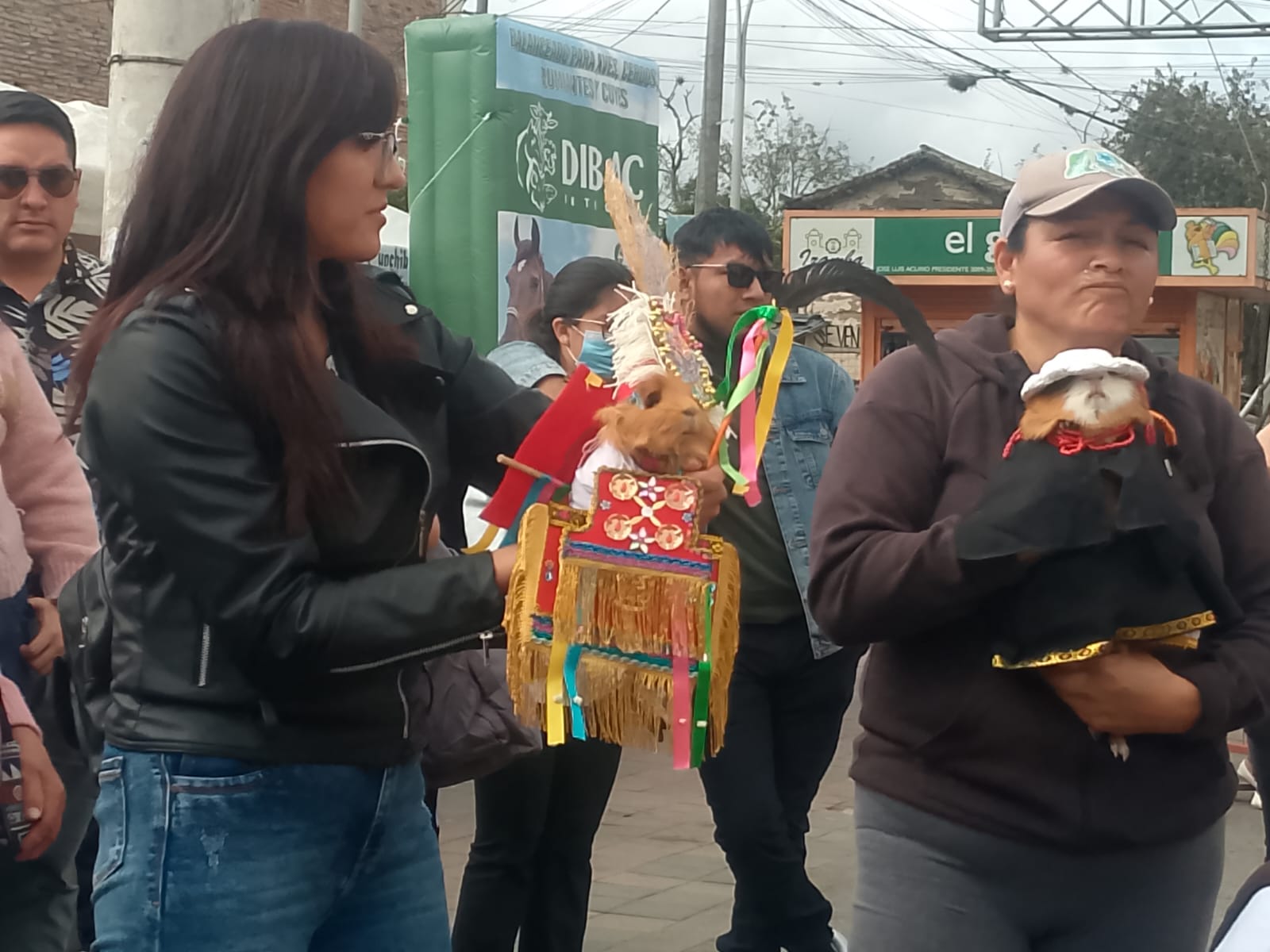 Concurso “Cuy Fashion” con creatividad, tradición y sabor local Concurso “Cuy Fashion” con creatividad, tradición y sabor local