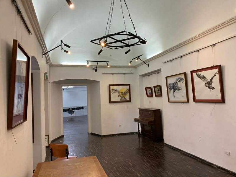 Arte para honrar al cóndor andino Arte para honrar al cóndor andino