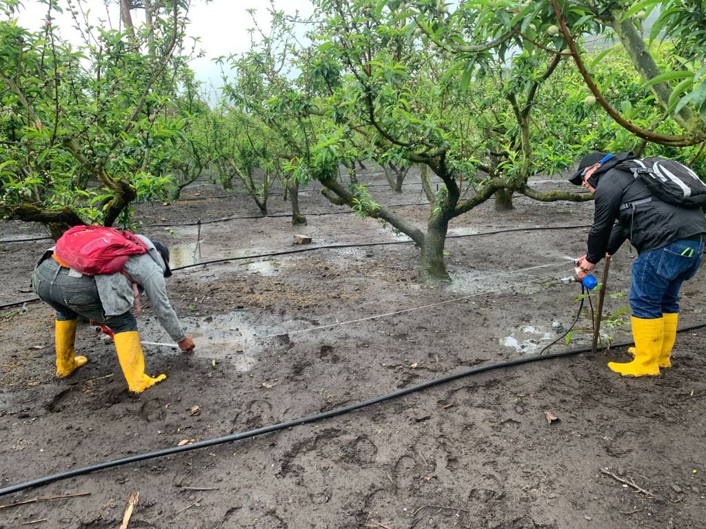 MAG fortalece riego tecnificado – El Heraldo MAG fortalece riego tecnificado – El Heraldo