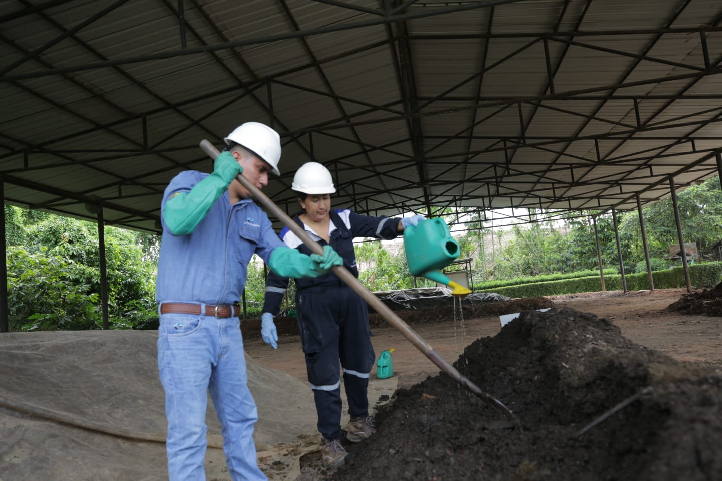 Maate impulsa Amazonía Viva  – El Heraldo Maate impulsa Amazonía Viva  – El Heraldo