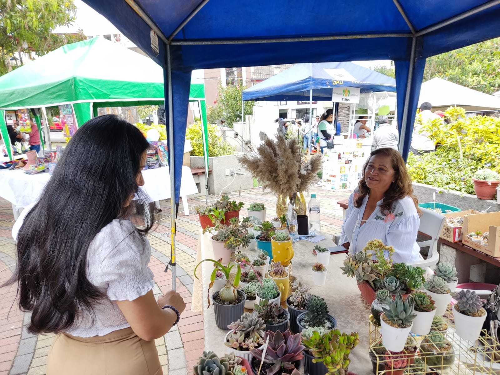 “Suculentas” para dinamizar la energía natural “Suculentas” para dinamizar la energía natural