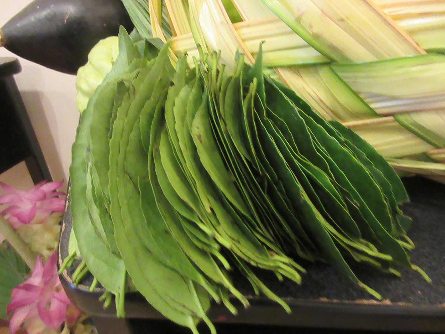 Mera, centro milenario y natural Mera, centro milenario y natural