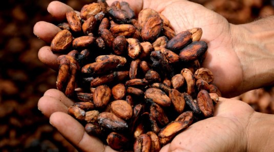 Estados Unidos elimina arancel del 15% a 105 productos de Ecuador Estados Unidos elimina arancel del 15% a 105 productos de Ecuador