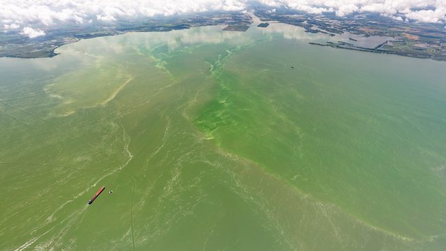 A 2019 aerial view of a toxic algal bloom in Lake Erie, highlighting NOAA’s efforts to monitor and predict harmful blooms. (Zachary Haslick, Aerial Associates Photography Inc) A 2019 aerial view of a toxic algal bloom in Lake Erie, highlighting NOAA’s efforts to monitor and predict harmful blooms. (Zachary Haslick, Aerial Associates Photography Inc)