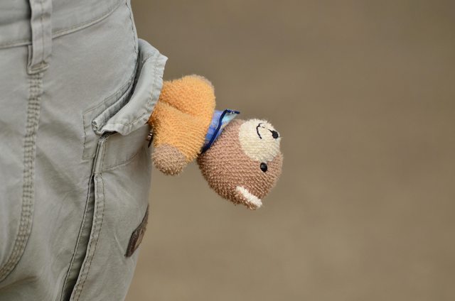 Teddy bear in a pocket. Teddy bear in a pocket.