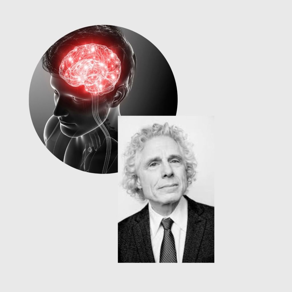 Raising Thinkers: How Steven Pinker’s Books Illuminate Children’s Cognitive Development Raising Thinkers: How Steven Pinker’s Books Illuminate Children’s Cognitive Development