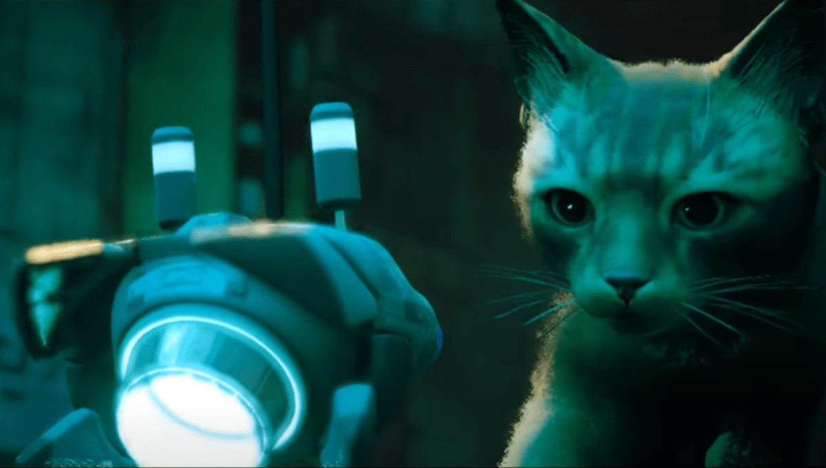 Beloved cat sim Stray involves the Swap on November 19 Beloved cat sim Stray involves the Swap on November 19