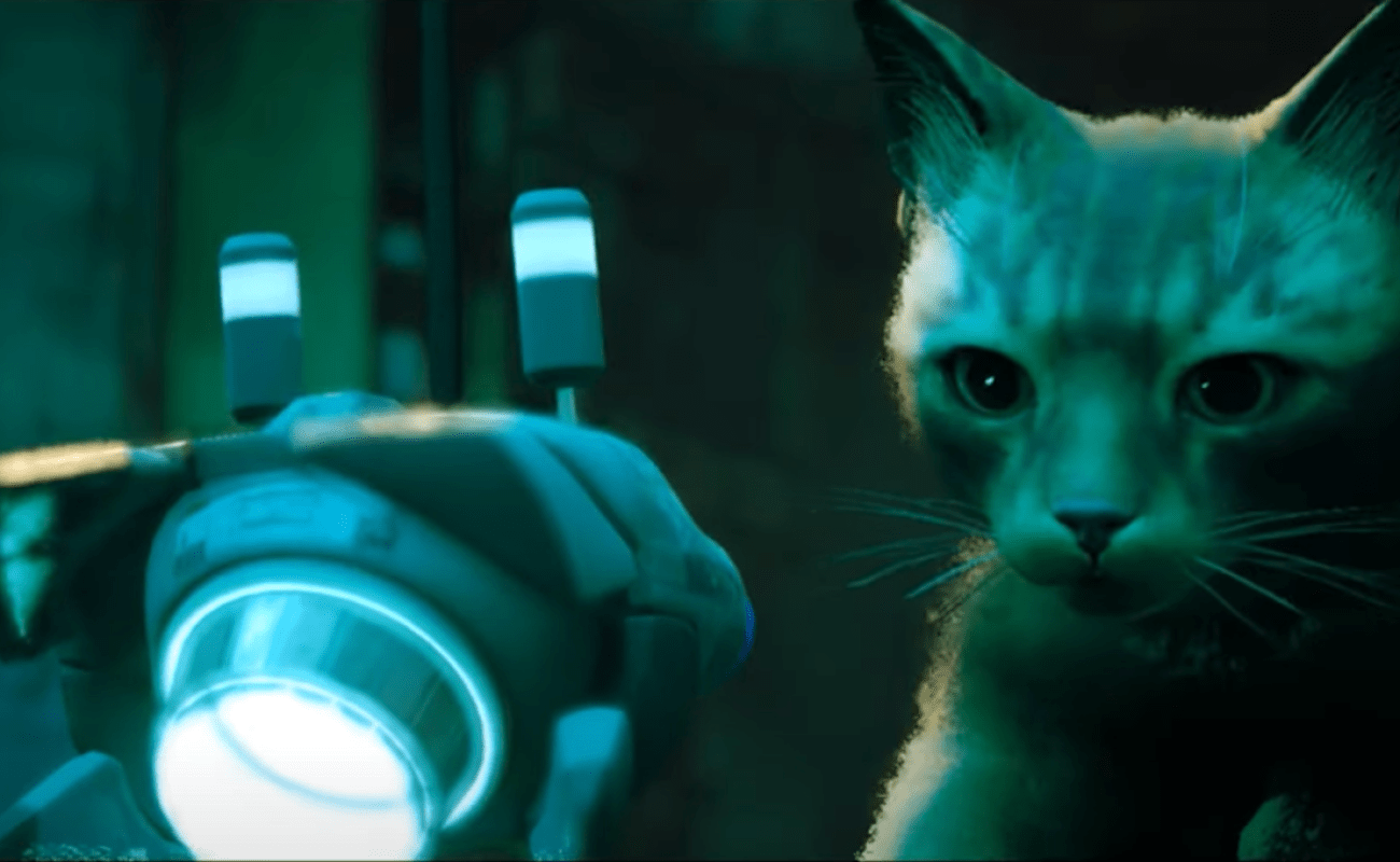 Beloved cat sim Stray involves the Swap on November 19 Beloved cat sim Stray involves the Swap on November 19