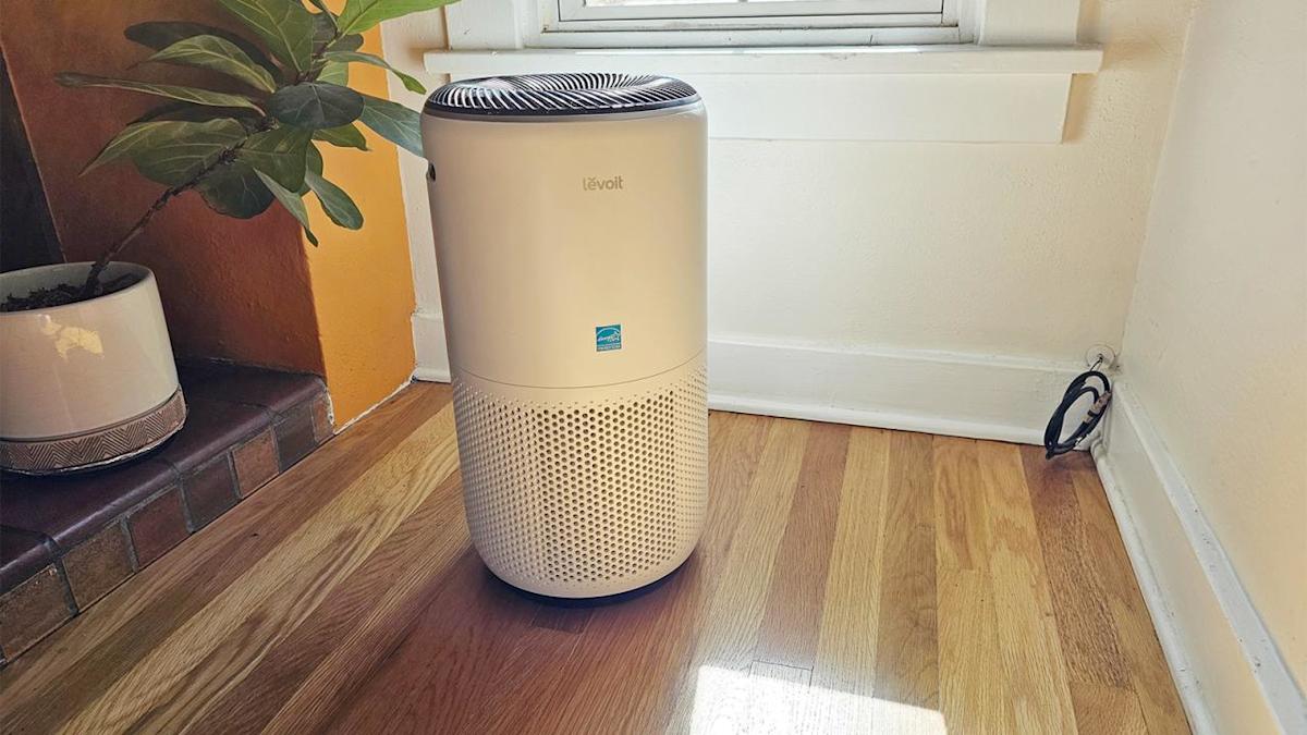 Our favourite air air purifier is off proper now in a restricted time deal Our favourite air air purifier is off proper now in a restricted time deal