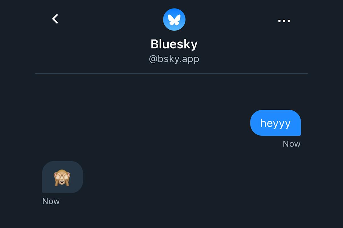 Bluesky lastly has DMs, with encrypted messaging coming ‘down the road’ Bluesky lastly has DMs, with encrypted messaging coming ‘down the road’