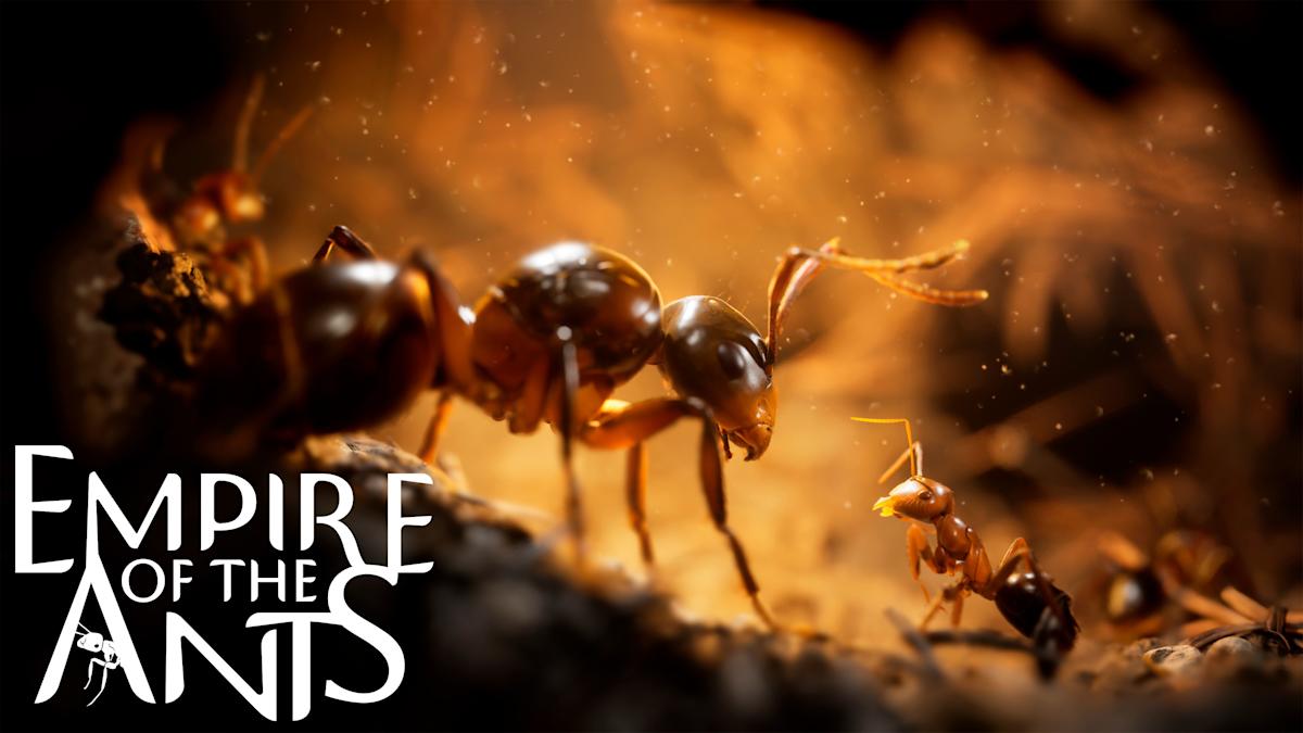 Empire of the Ants will allow you to discover a photorealistic bug’s life this November Empire of the Ants will allow you to discover a photorealistic bug’s life this November