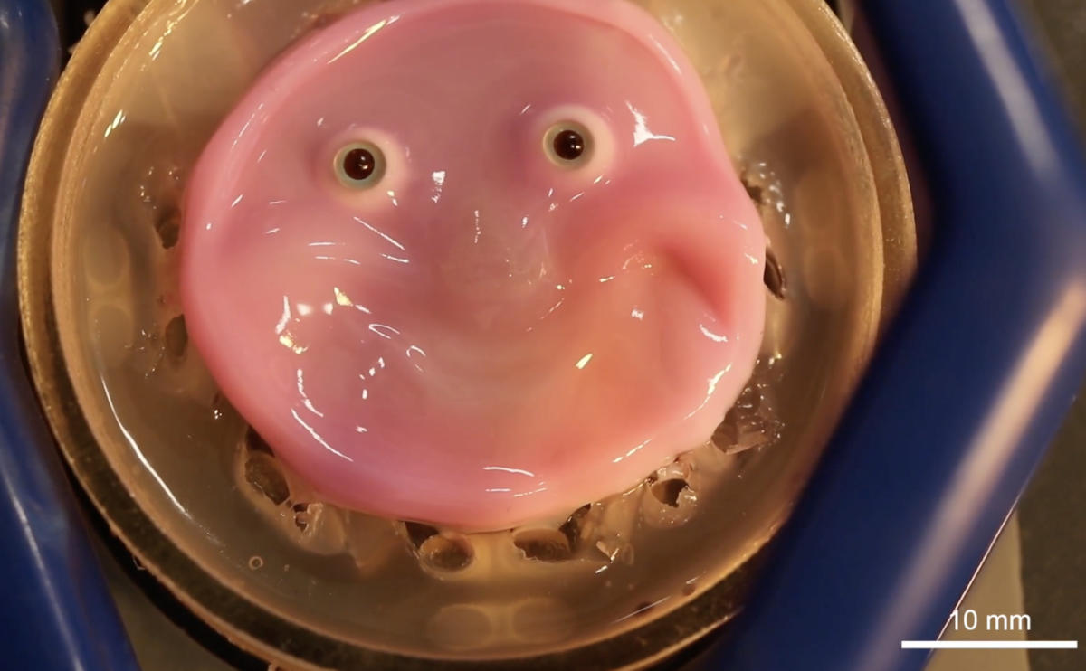 This cute pink blob might result in reasonable robotic pores and skin This cute pink blob might result in reasonable robotic pores and skin