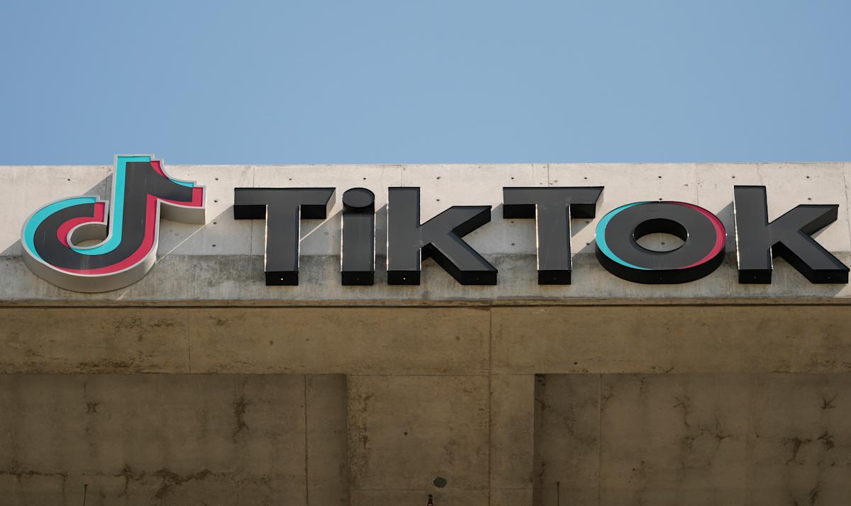 TikTok’s CEO urges customers to ‘defend your constitutional rights’ as US ban looms TikTok’s CEO urges customers to ‘defend your constitutional rights’ as US ban looms