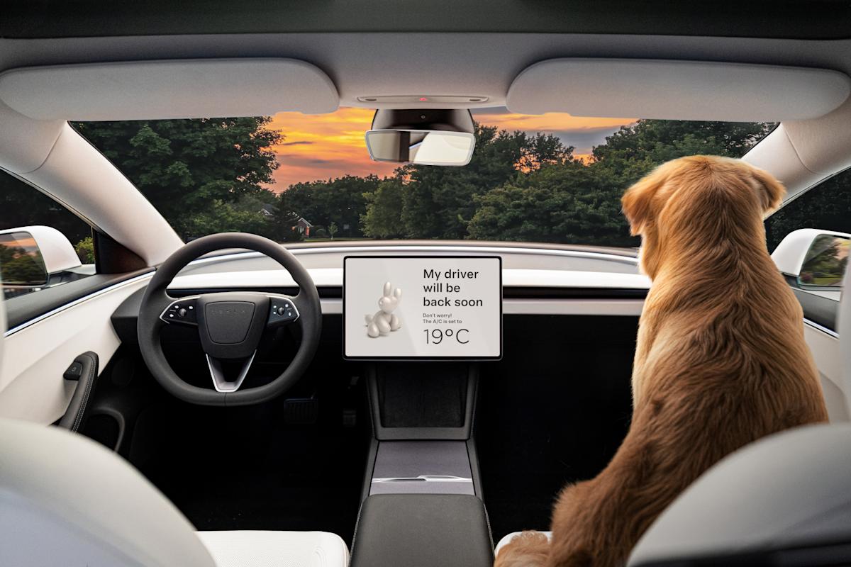 Tesla will reportedly take clients on a check drive to point out off its Full Self-Driving tech Tesla will reportedly take clients on a check drive to point out off its Full Self-Driving tech