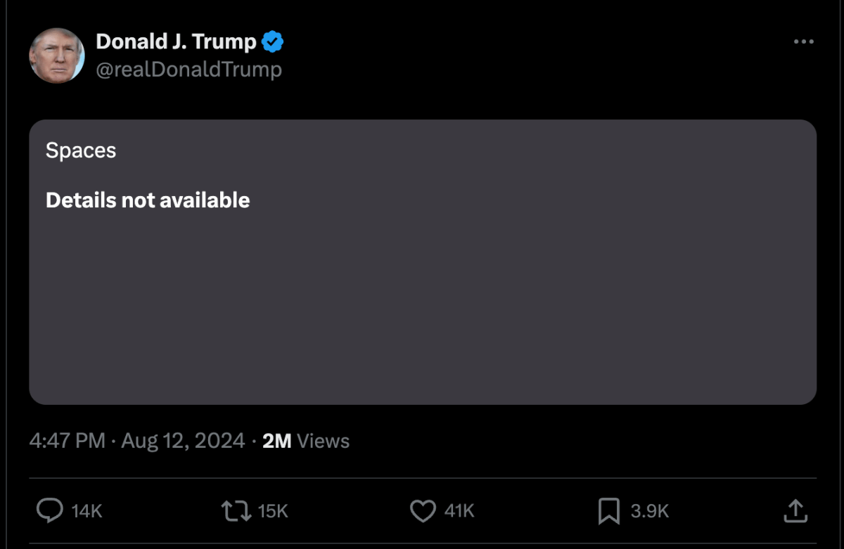 Elon Musk claims ‘large DDOS assault’ delayed his reside stream with Donald Trump Elon Musk claims ‘large DDOS assault’ delayed his reside stream with Donald Trump
