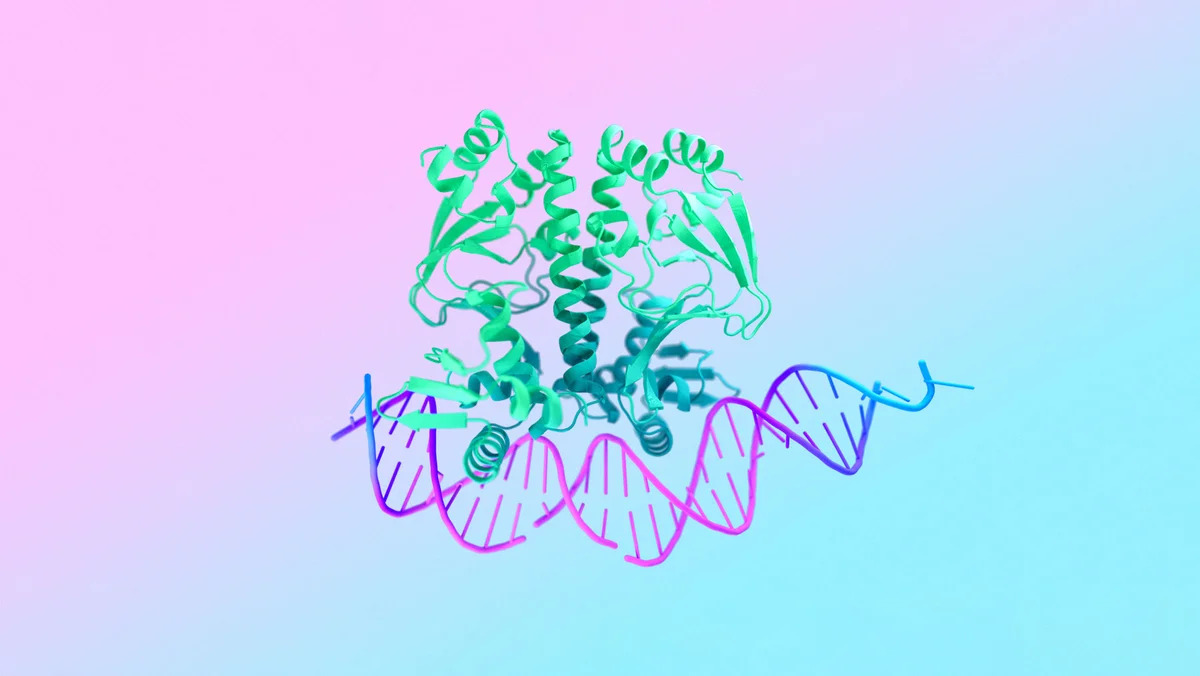Google DeepMind’s newest medical breakthrough borrows a trick from AI picture turbines Google DeepMind’s newest medical breakthrough borrows a trick from AI picture turbines