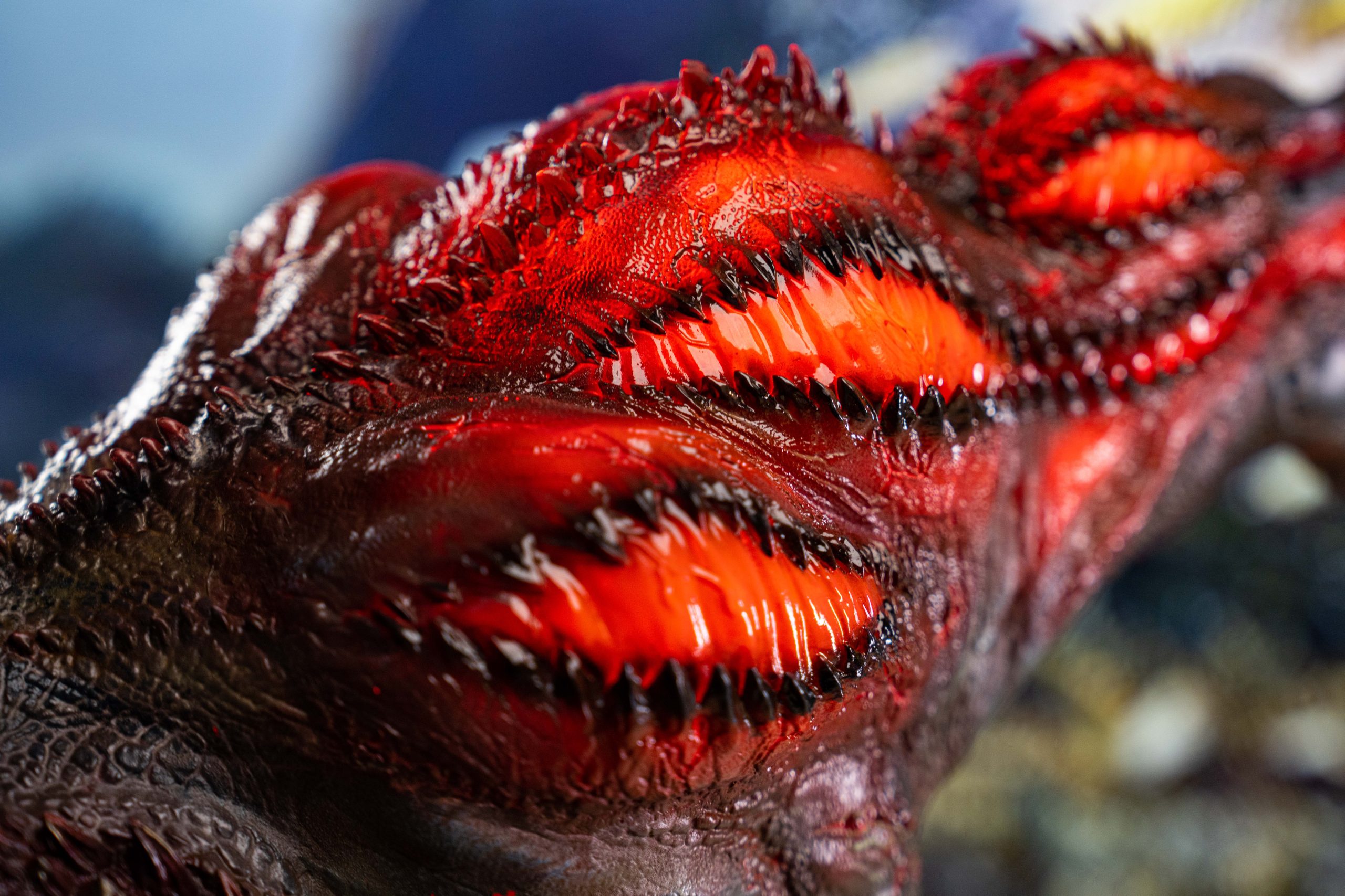 BlackFatalis Studio - Monster Hunter Savage Deviljho