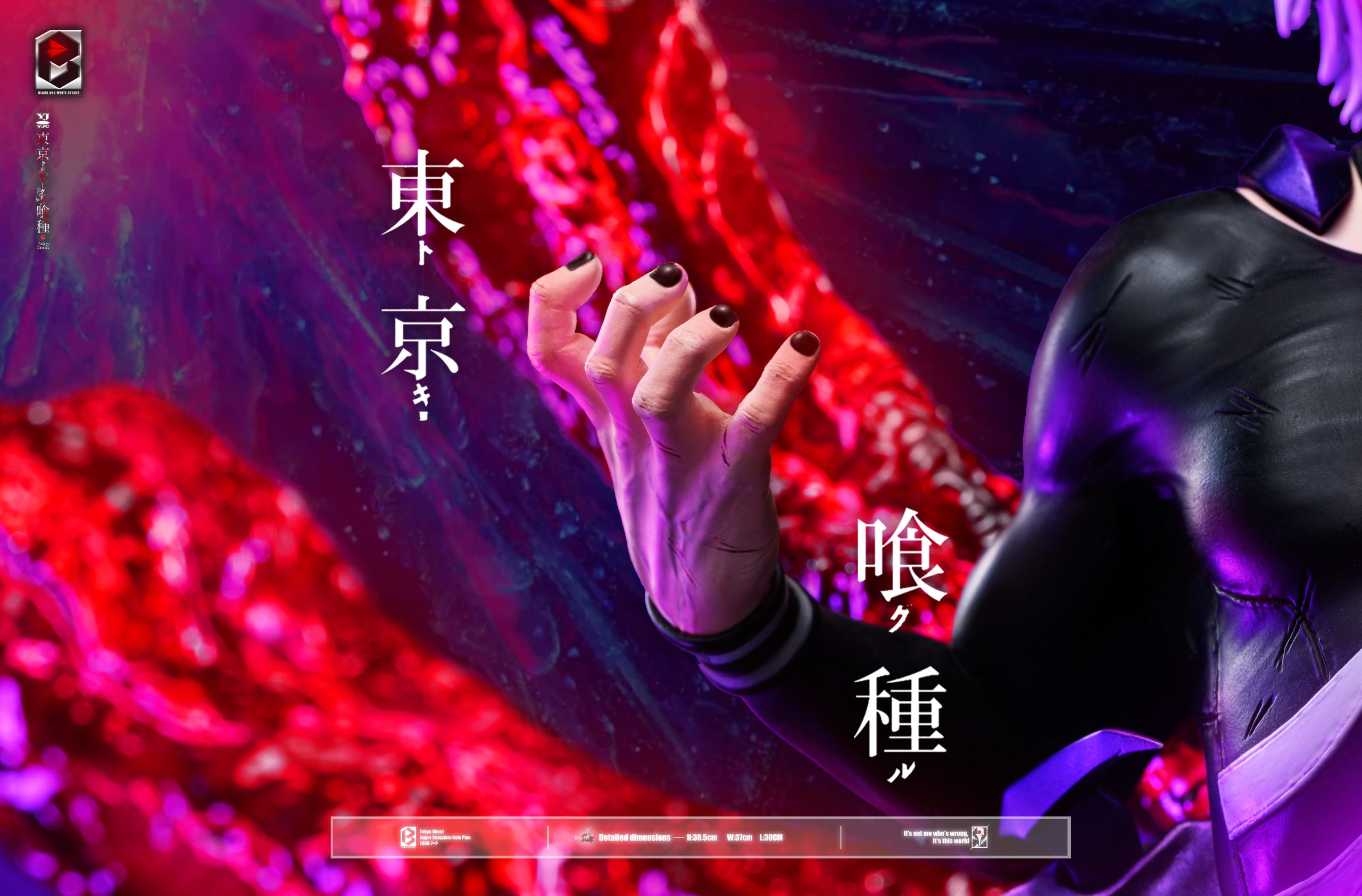 Black And White Studio Tokyo Ghoul Ken Kaneki
