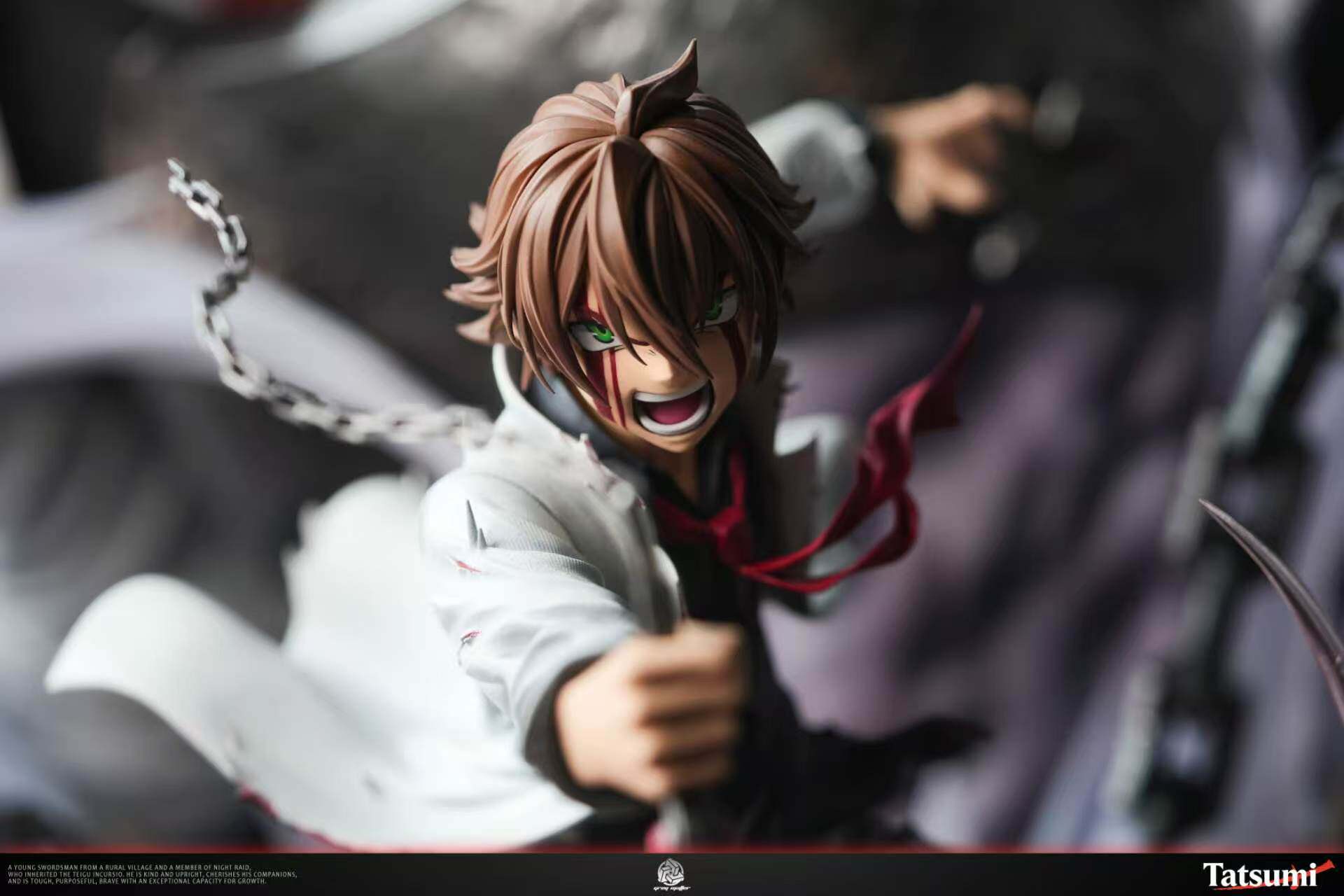 Grey matter Studio - Tatsumi Akame ga Kill