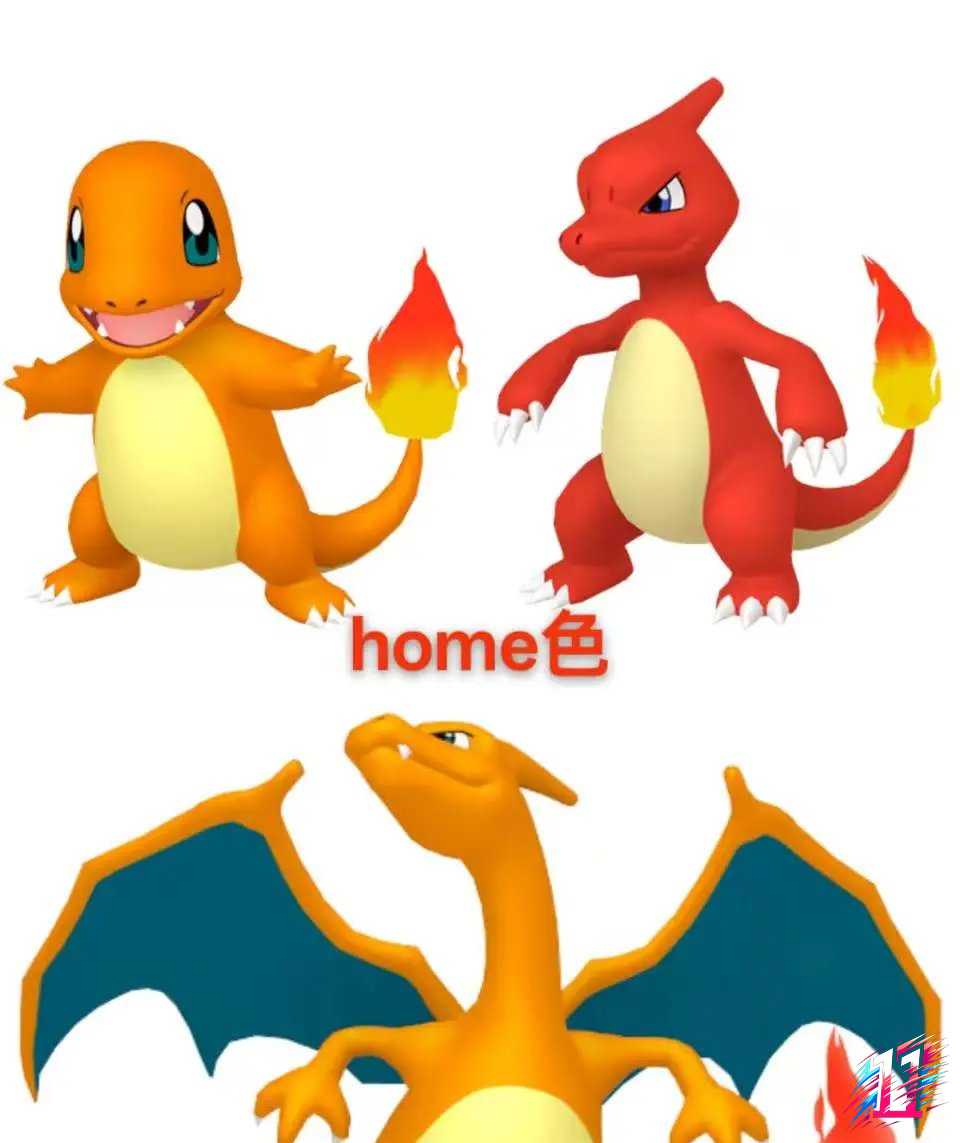 Fog Studio - Charizard Evolution Set Pokémon