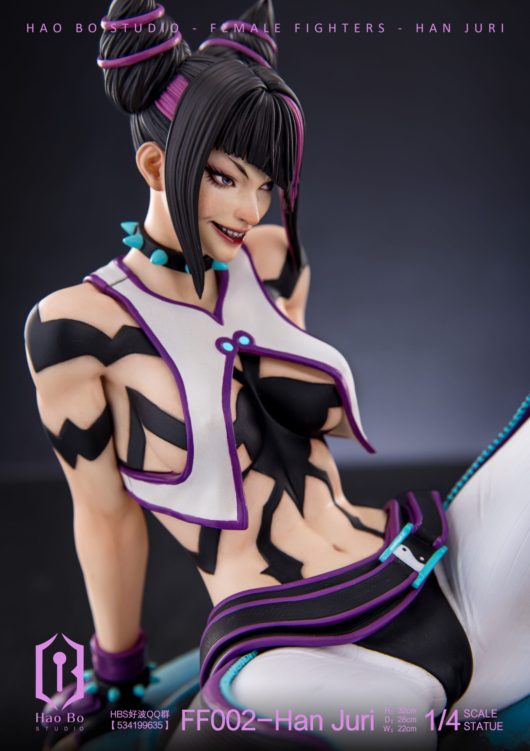 HAO BO Studio - Female Fighter FF002 Juri
