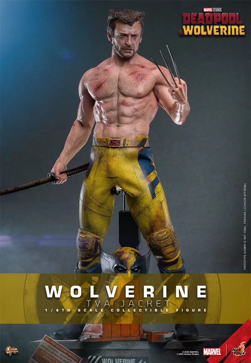 Hottoys Studio - Marvel Deadpool & Wolverine Wolverine(TVA Uniform version)16 MMS756 (Licensed)