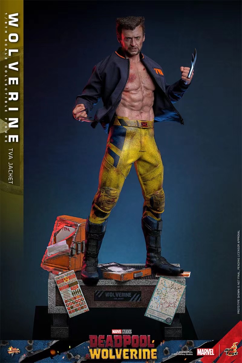 Hottoys Studio - Marvel Deadpool & Wolverine Wolverine(TVA Uniform version)16 MMS756 (Licensed)