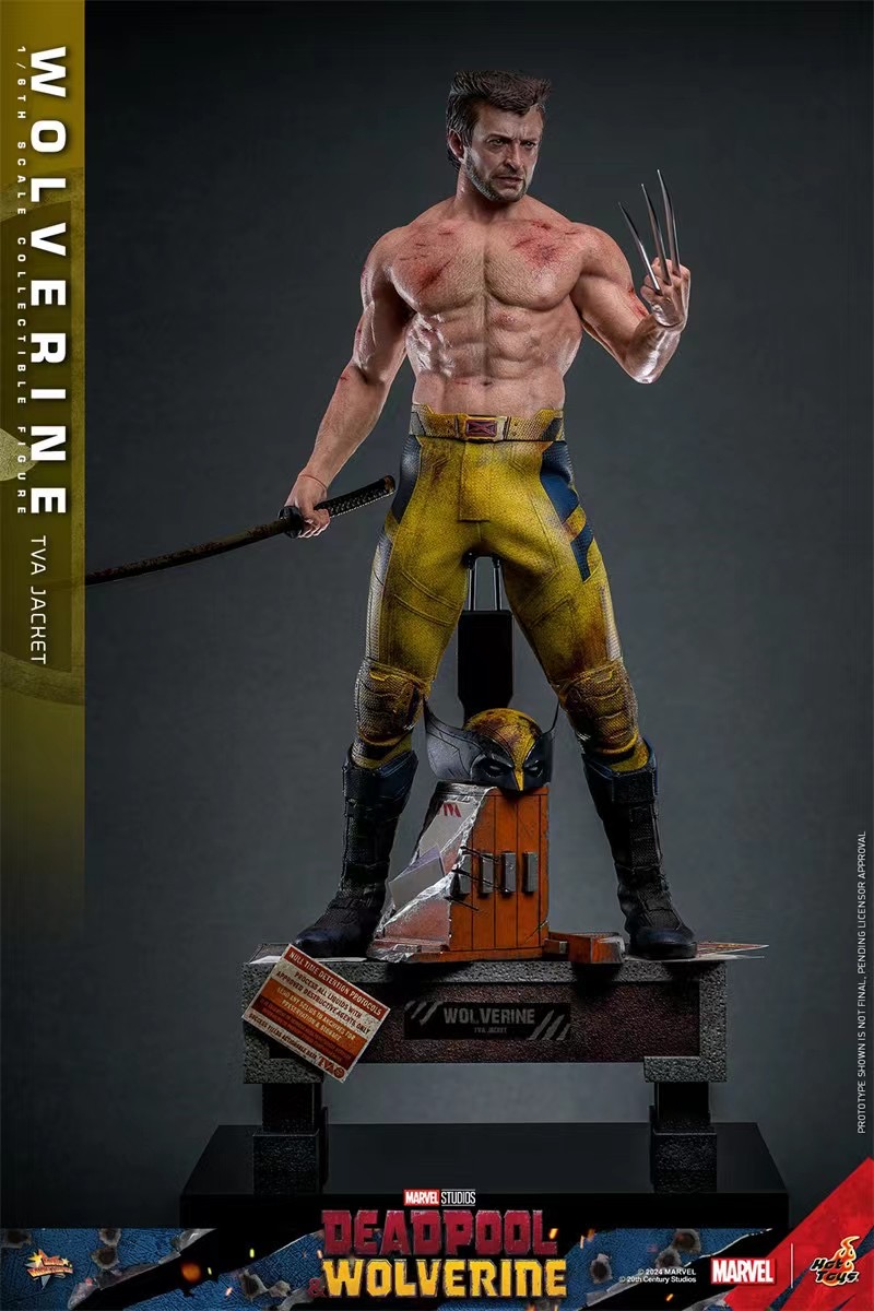 Hottoys Studio - Marvel Deadpool & Wolverine Wolverine(TVA Uniform version)16 MMS756 (Licensed)