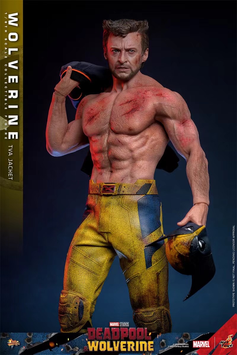 Hottoys Studio - Marvel Deadpool & Wolverine Wolverine(TVA Uniform version)16 MMS756 (Licensed)