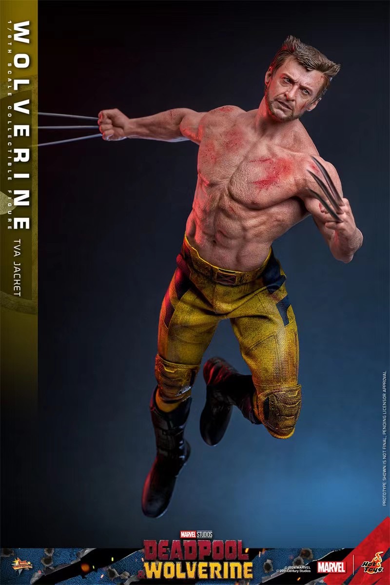 Hottoys Studio - Marvel Deadpool & Wolverine Wolverine(TVA Uniform version)16 MMS756 (Licensed)