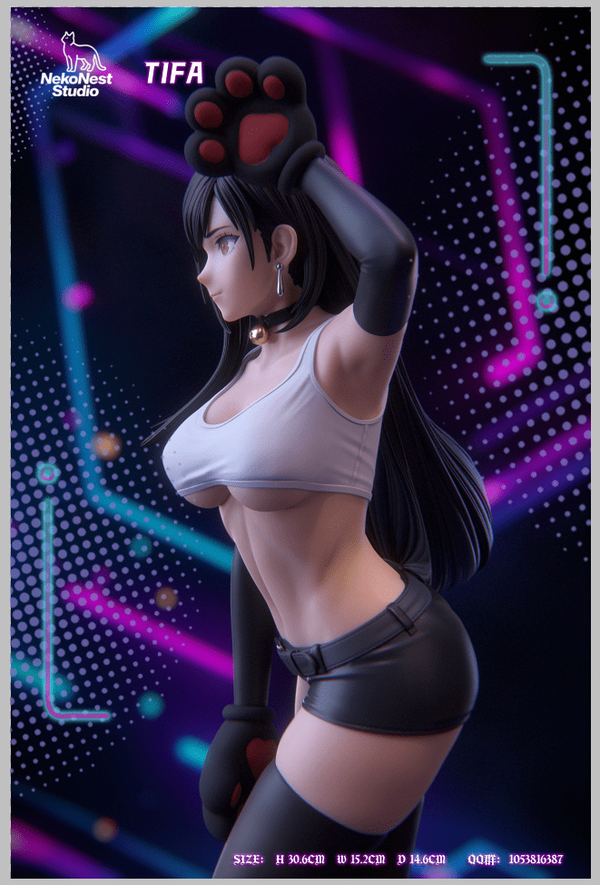 NekoNest Studio - Final Fantasy Tifa Catgirl