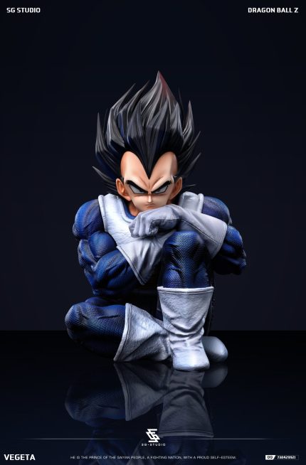 SG Studio - Dragon Ball Namek Vegeta SG Studio - Dragon Ball Namek Vegeta