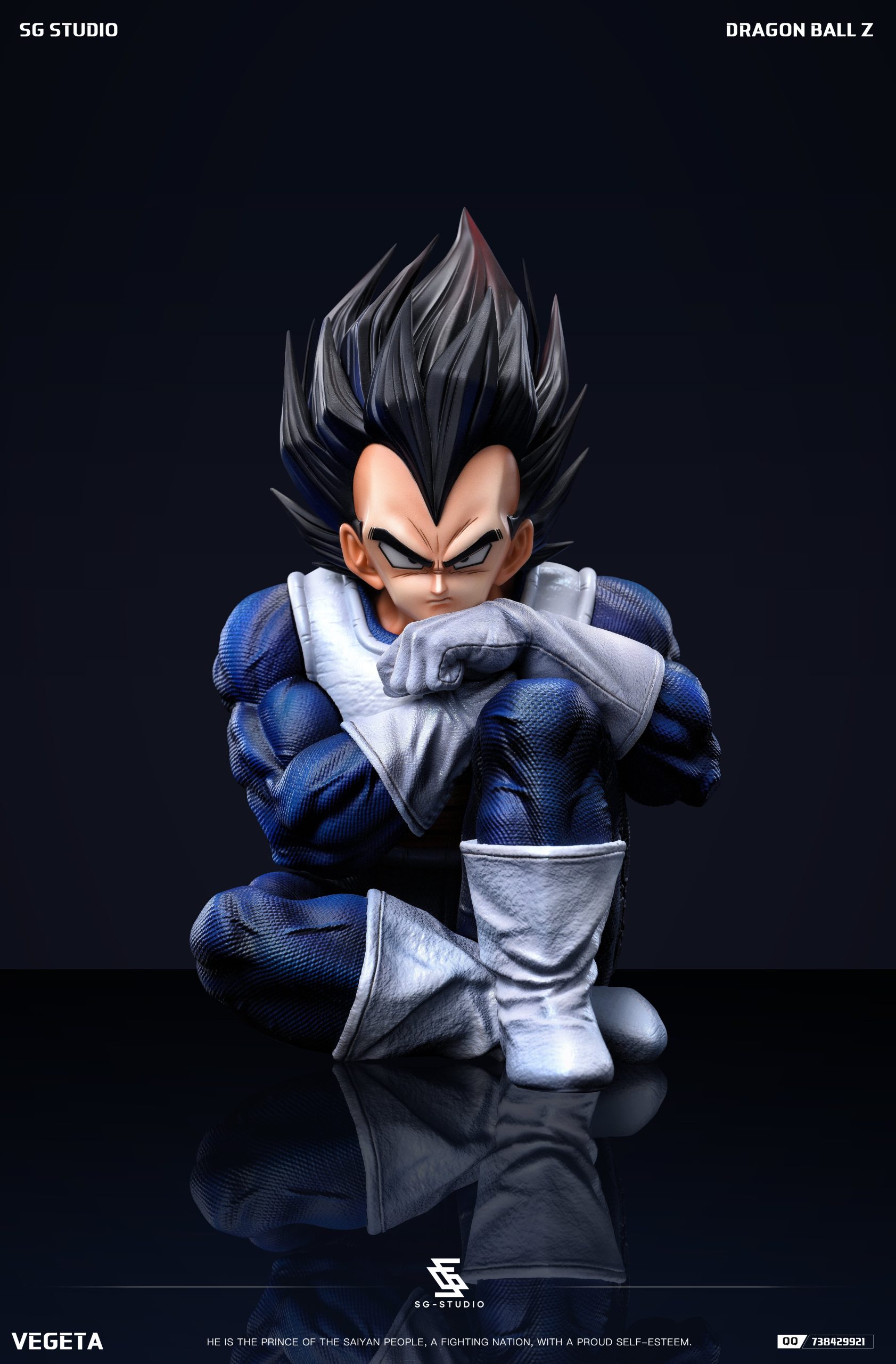 SG Studio - Dragon Ball Namek Vegeta