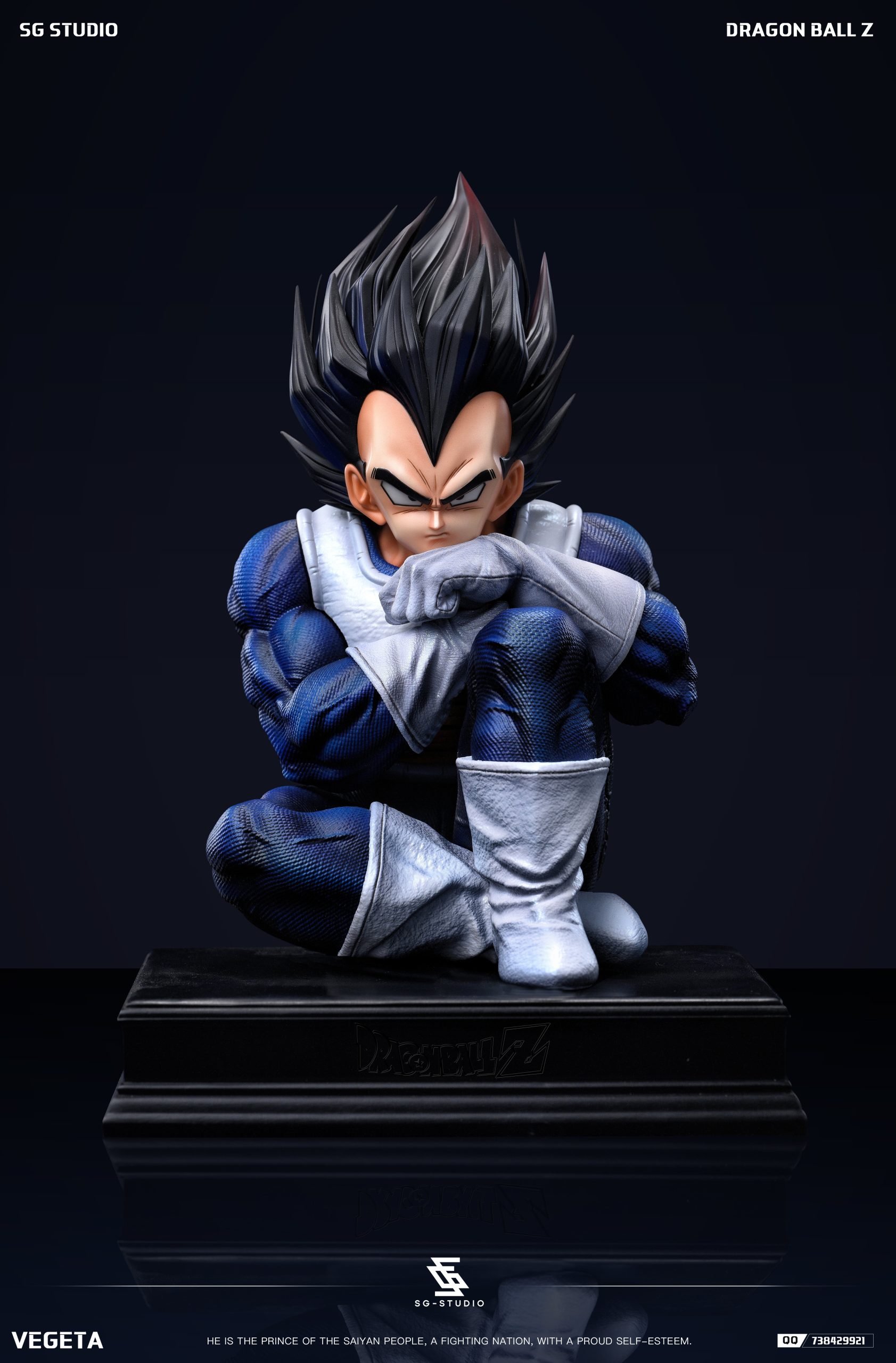 SG Studio - Dragon Ball Namek Vegeta
