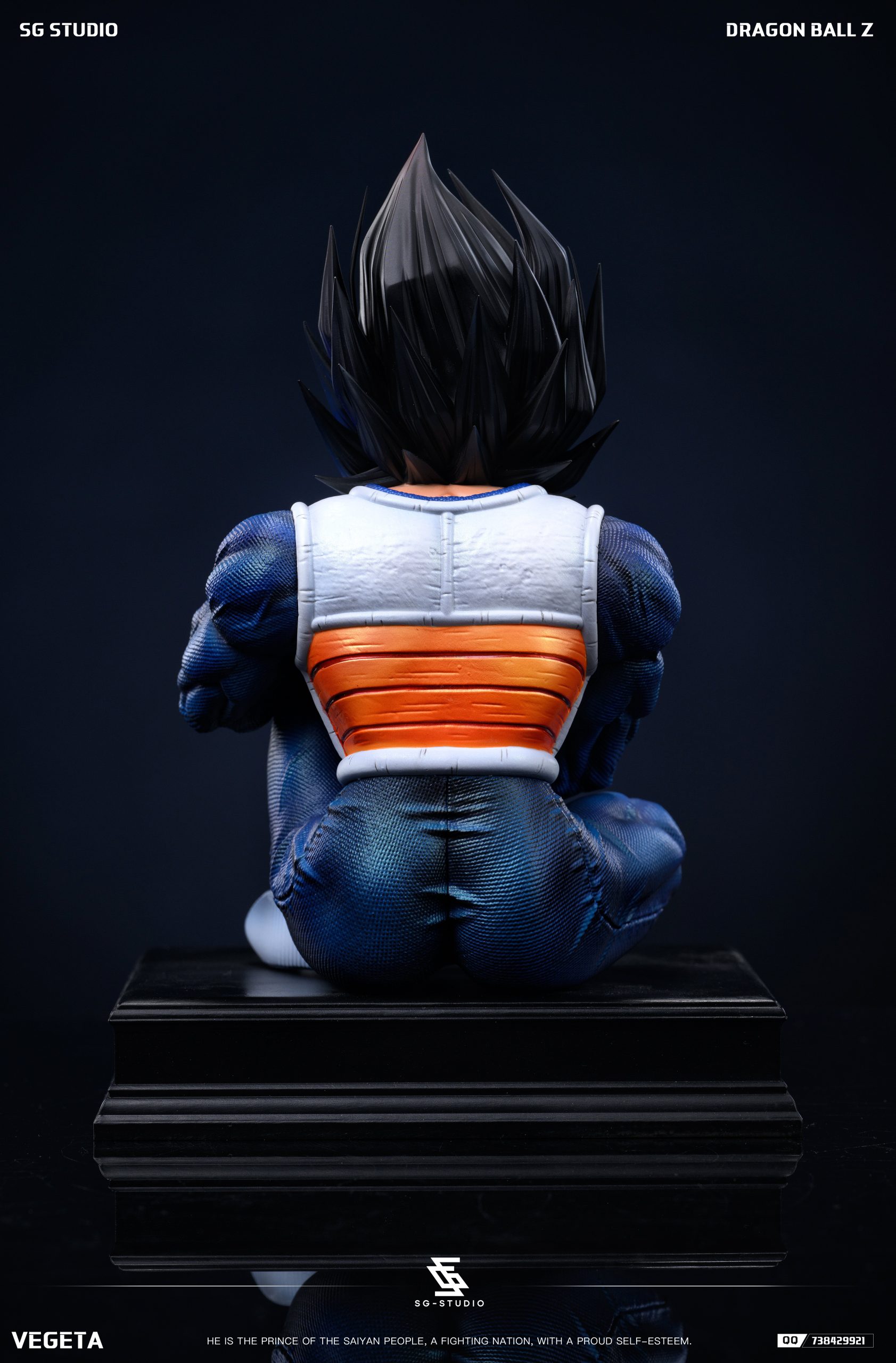 SG Studio - Dragon Ball Namek Vegeta