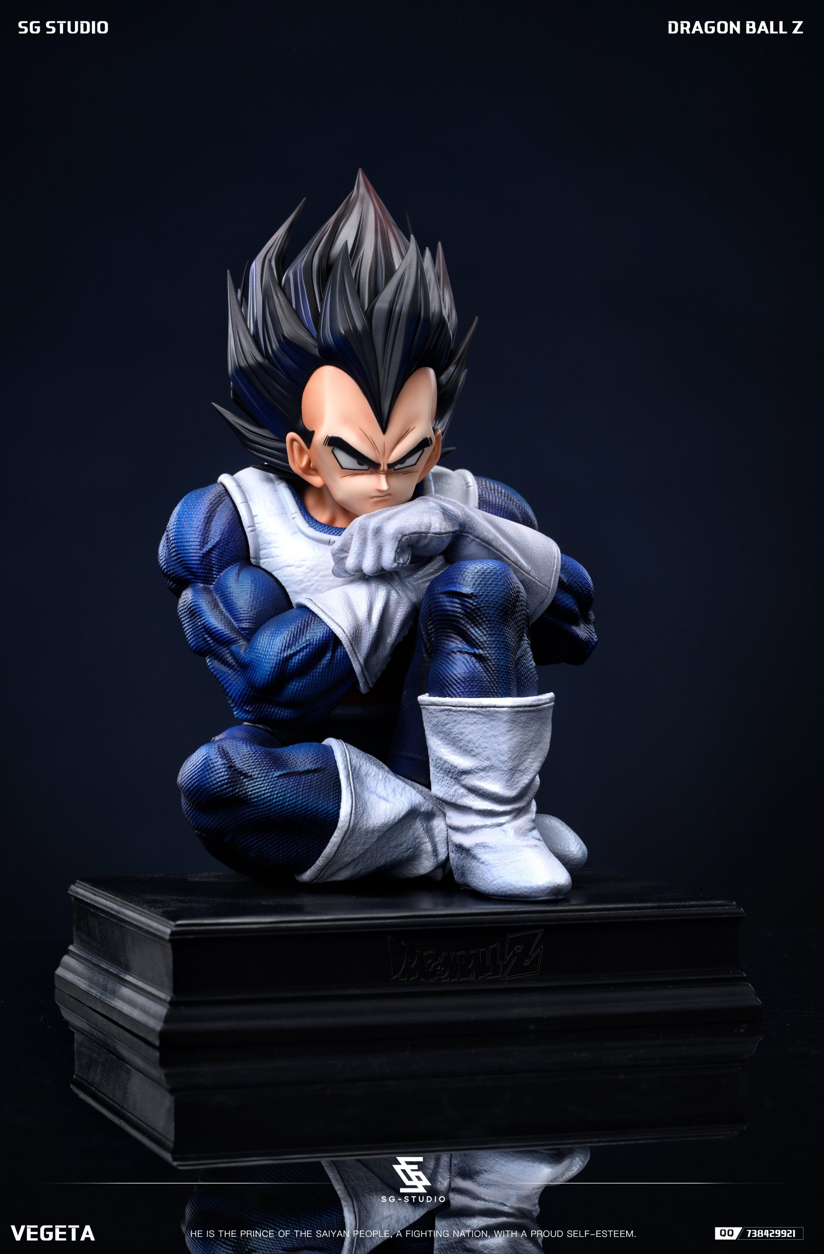 SG Studio - Dragon Ball Namek Vegeta