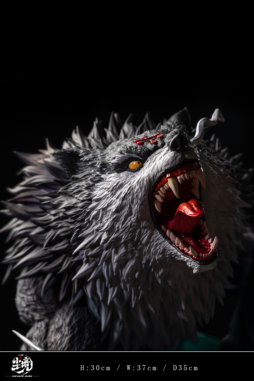 Real world Studio - Jujutsu Kaisen Megumi Fushiguro