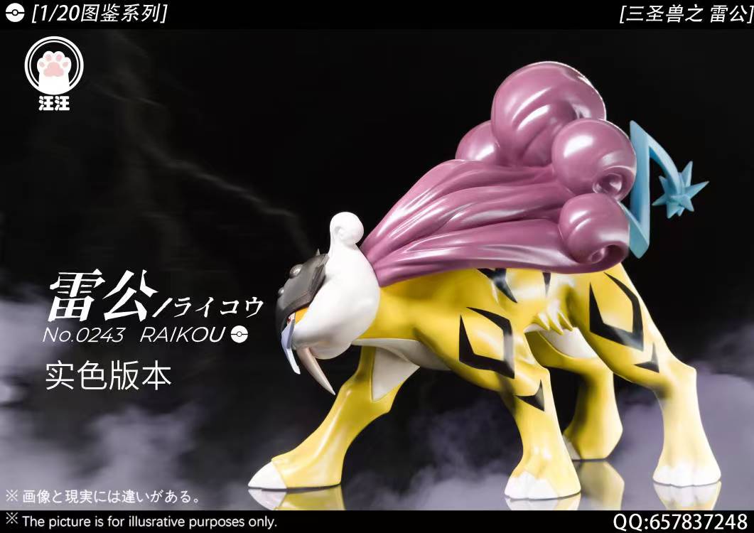 Wang Wang Studio - Pokémon Legendary beasts #2 Raikou