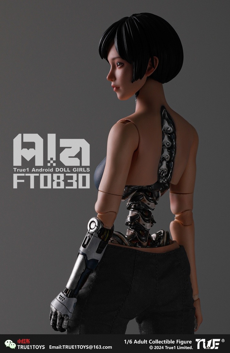 True1Toys Studio - Original FT0830 Ala 16 Action Figure