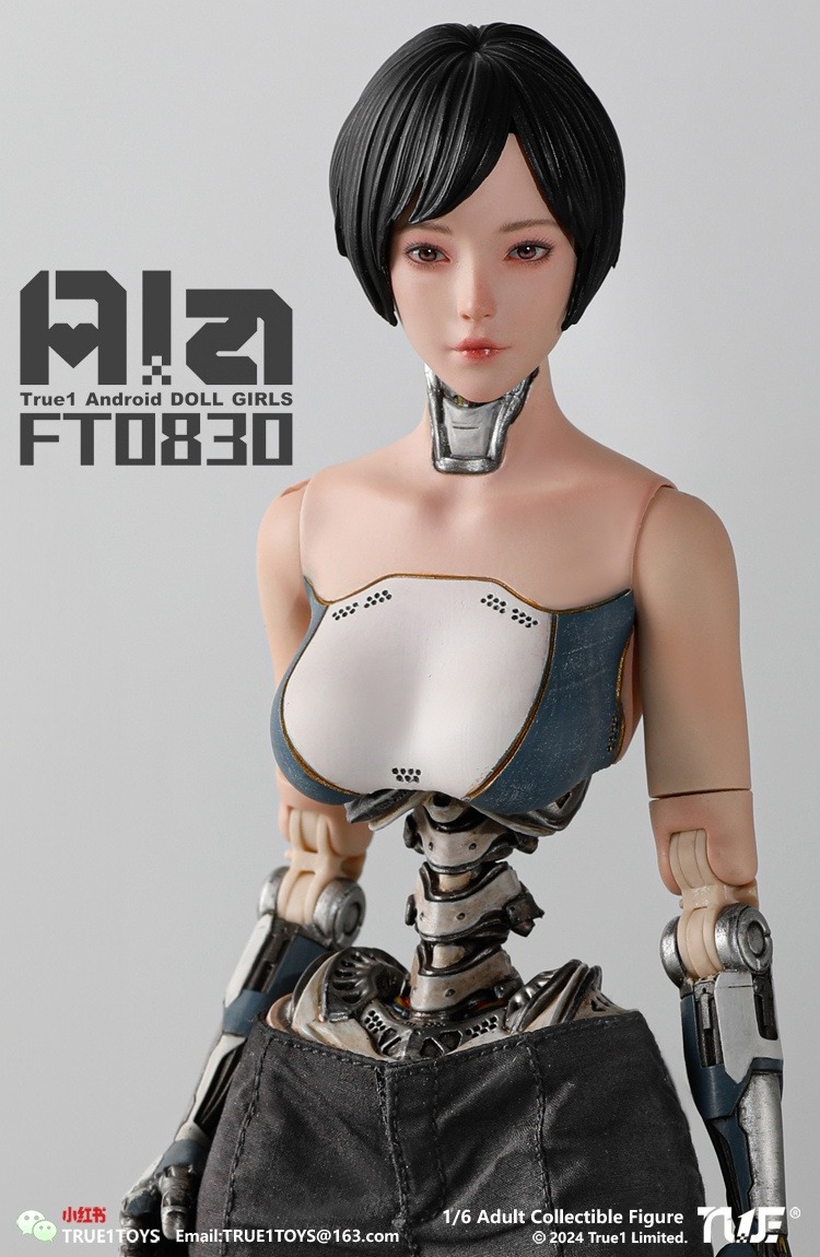 True1Toys Studio - Original FT0830 Ala 16 Action Figure