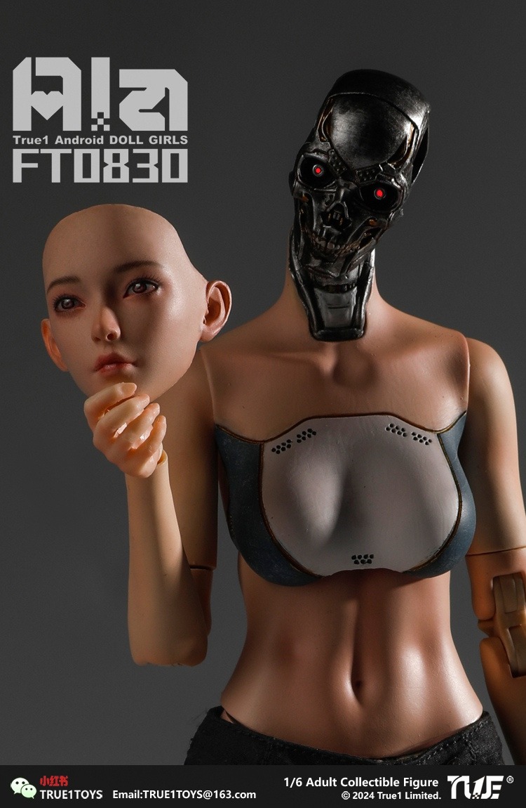 True1Toys Studio - Original FT0830 Ala 16 Action Figure
