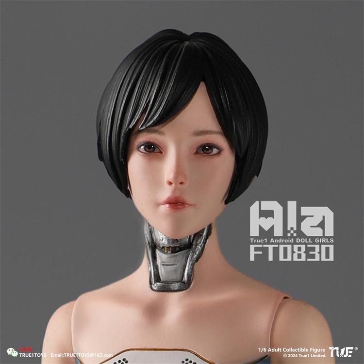True1Toys Studio - Original FT0830 Ala 16 Action Figure