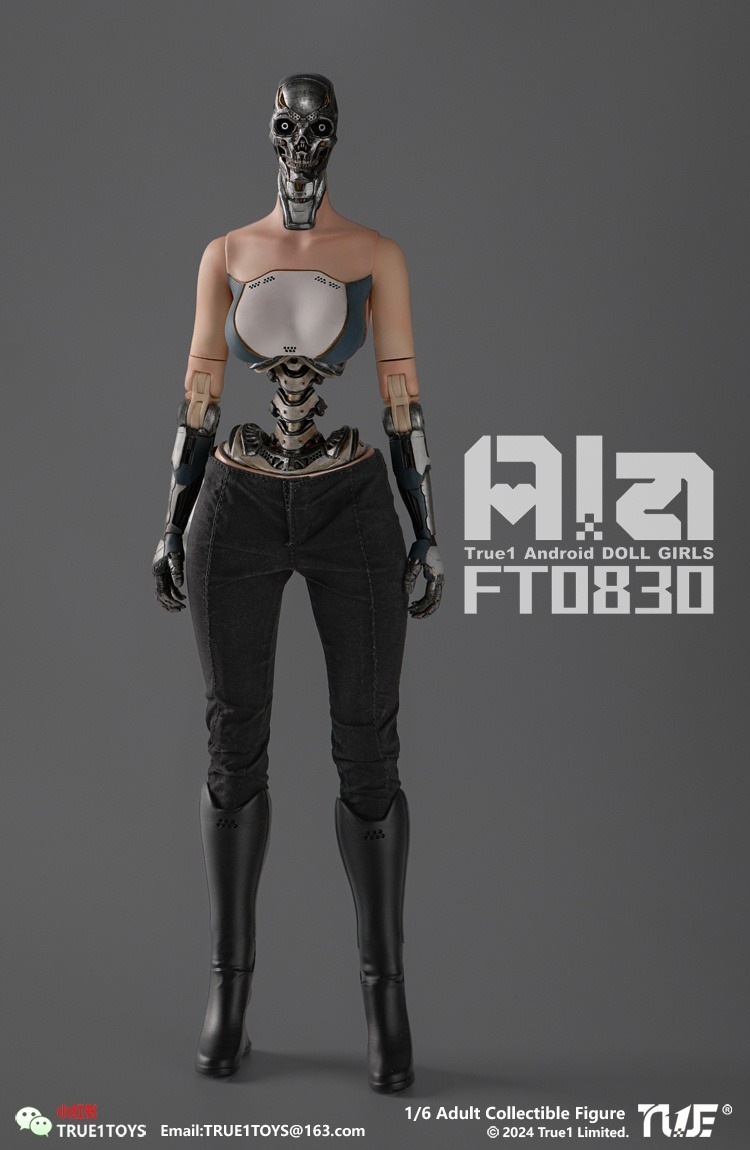 True1Toys Studio - Original FT0830 Ala 16 Action Figure