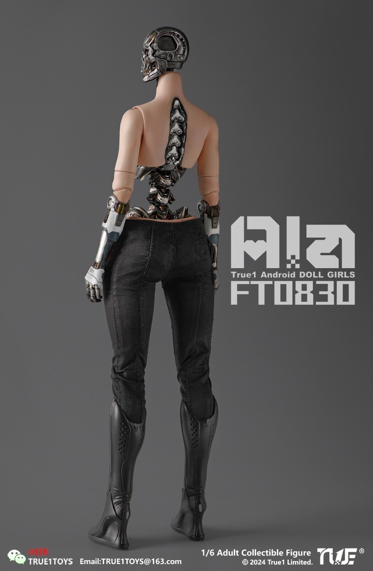 True1Toys Studio - Original FT0830 Ala 16 Action Figure
