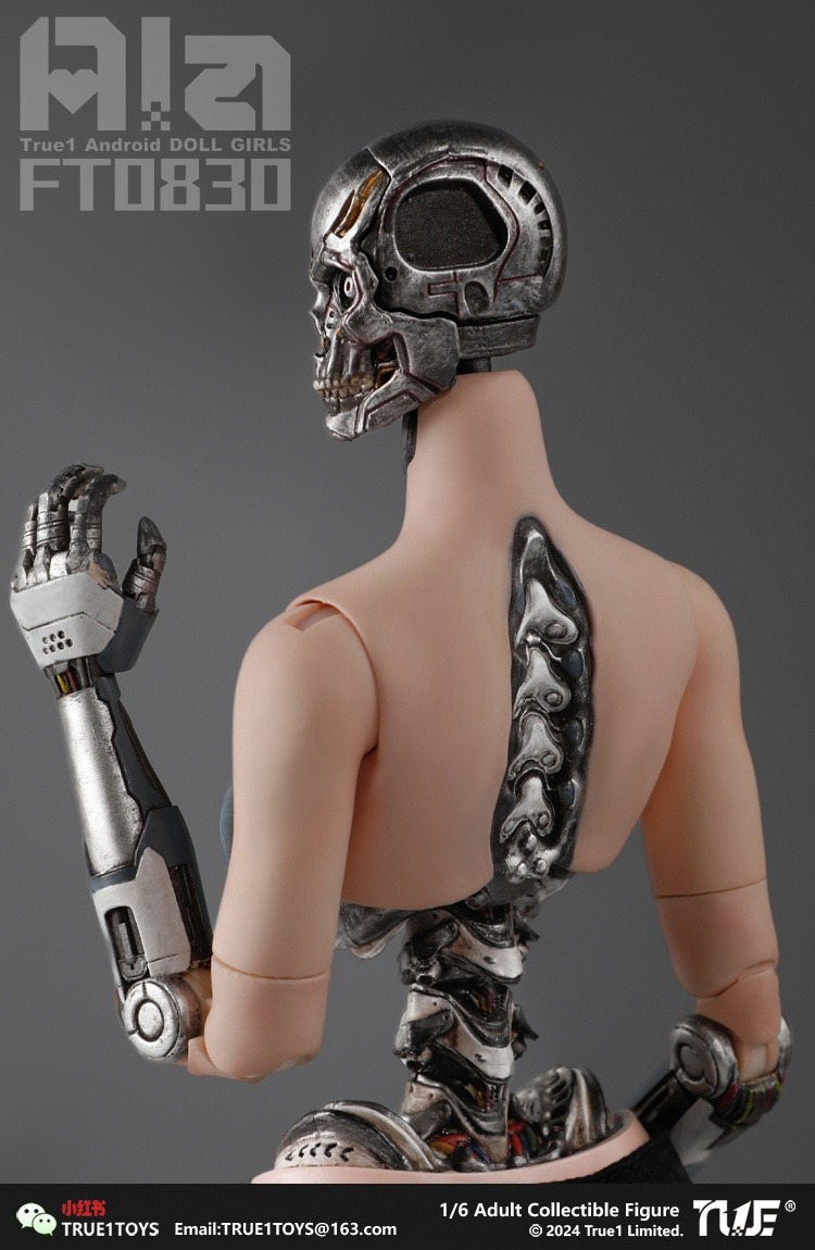 True1Toys Studio - Original FT0830 Ala 16 Action Figure