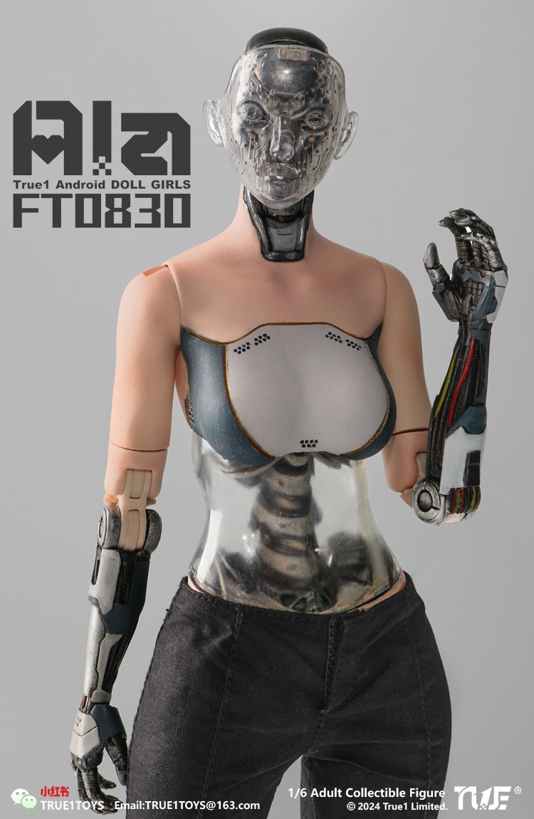 True1Toys Studio - Original FT0830 Ala 16 Action Figure