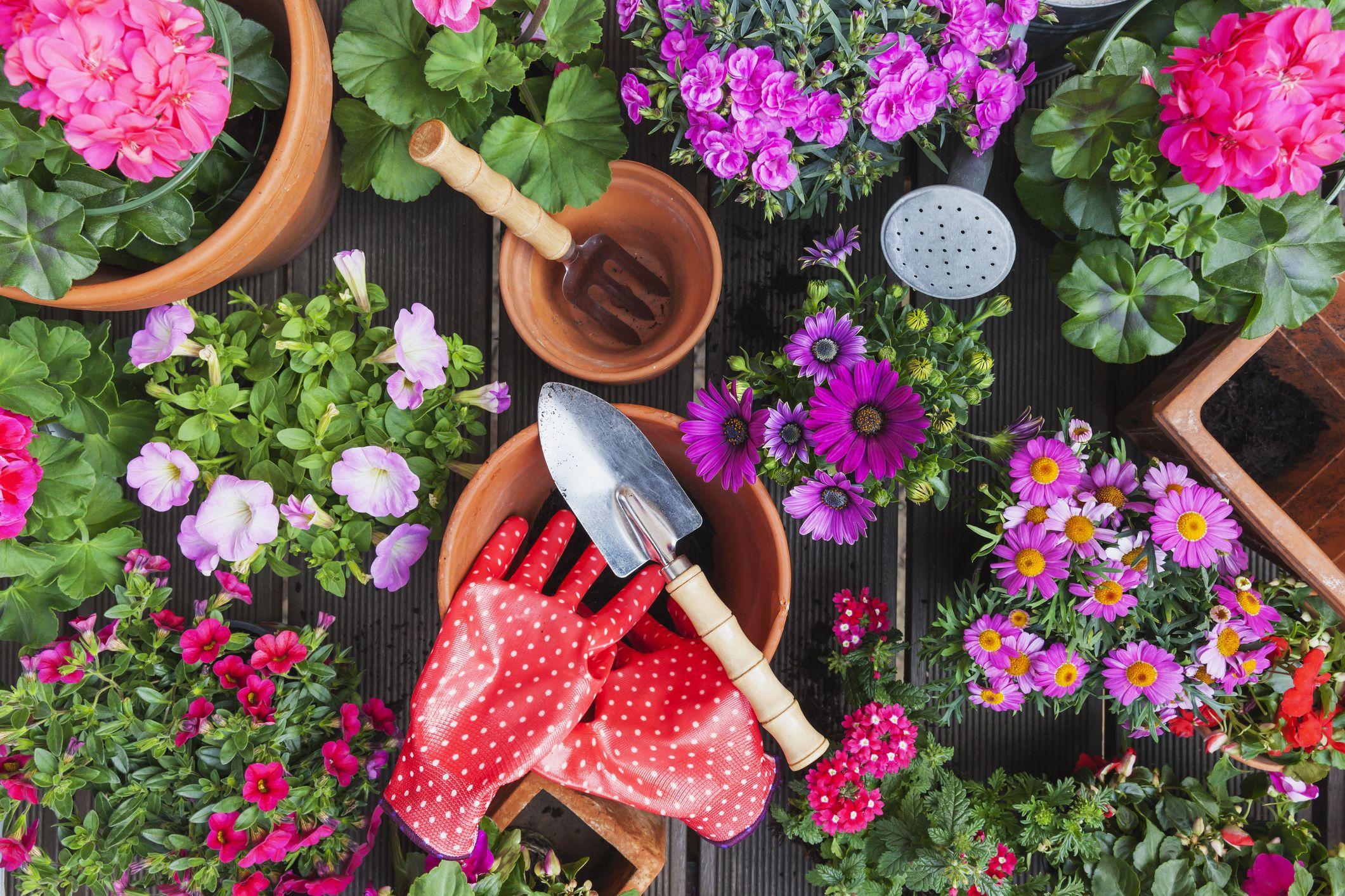 Garden Tool Sets For Easy Gardening Garden Tool Sets For Easy Gardening